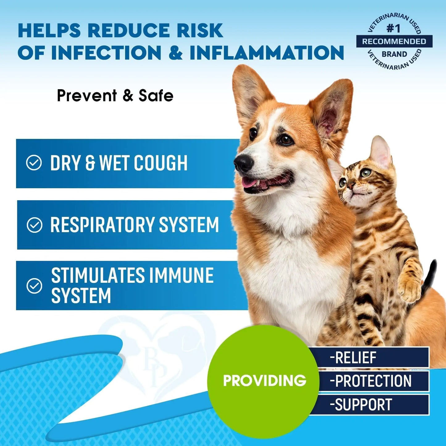 Kennel Cough Treatment Natural Infection Medicine for Dog Cats Cold Cough Relief