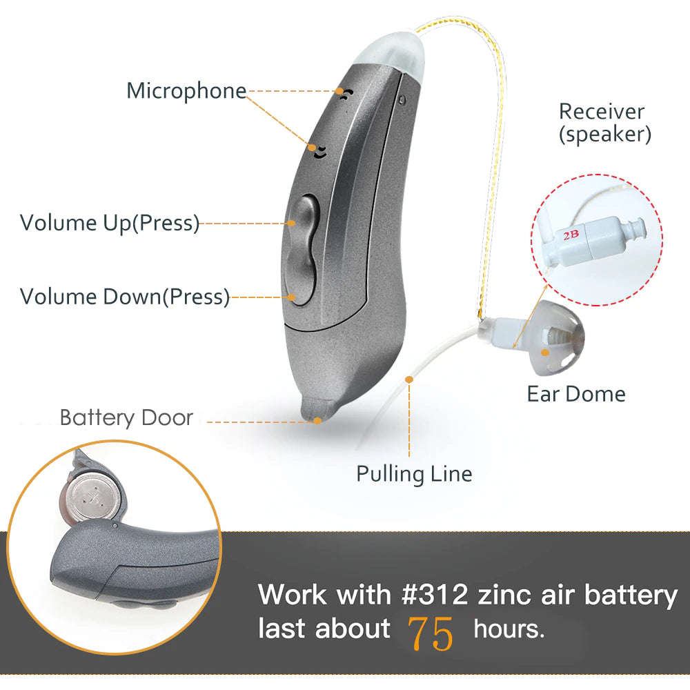 Hearing Aids With Bluetooth