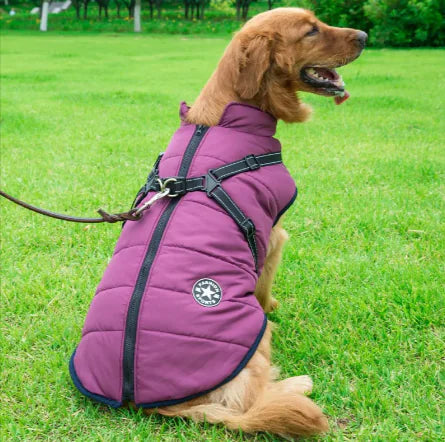 Winter Warm Hooded Coat for Small Dogs and Cats