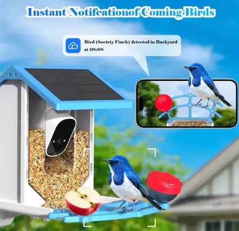 Solar Bird Feeder With Camera