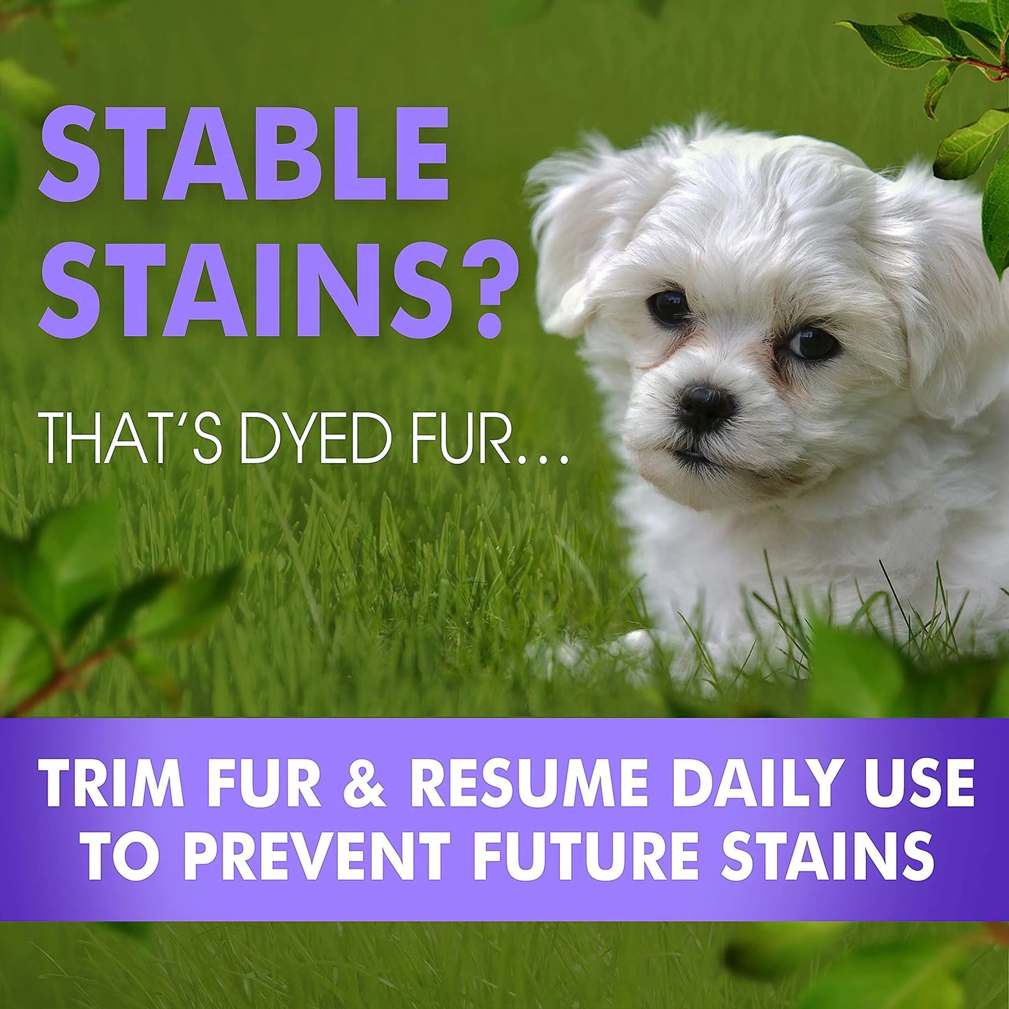 Tear Stain Remover Eye Stain Cleaner for Dogs & Cats with Natural Ingredients