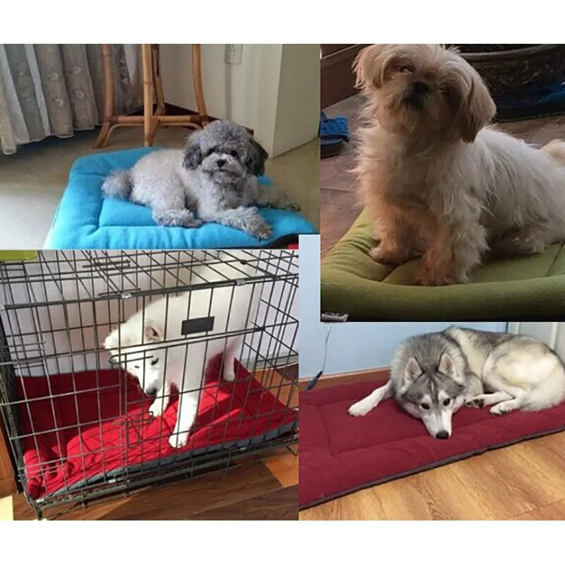 Pet Cushion Sofa Bed