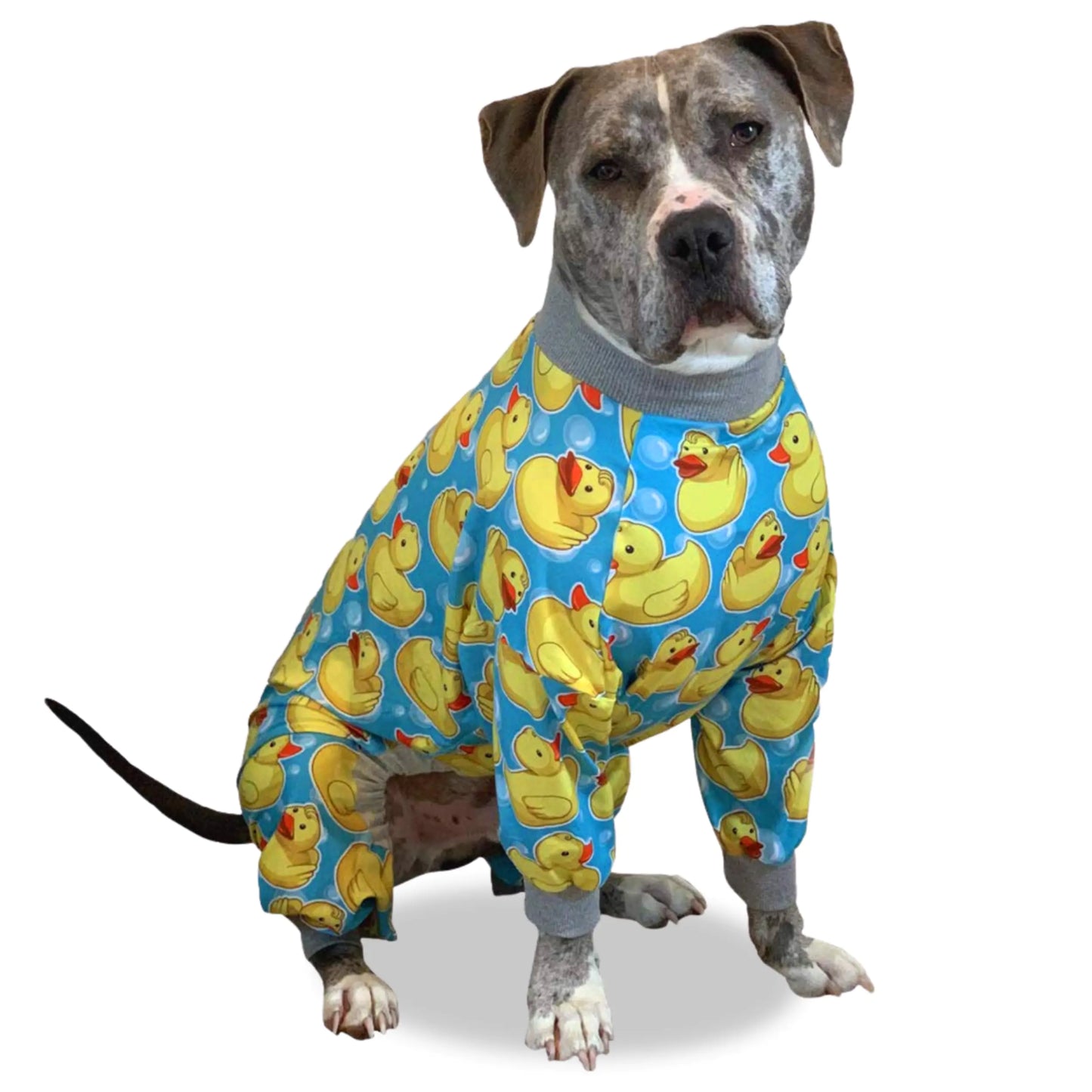 Tooth and Honey Pit Bull Pajamas/Rubber Duck Print/Lightweight Pullover Pajamas/Full Coverage Dog pjs/Yellow with Grey Trim