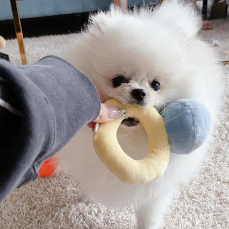 Diamond Ring Dog Squeaky Toy