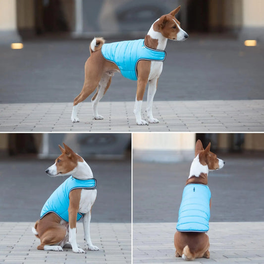 Dog Winter Coat for XSmall Dogs Blue Waterproof Dog Warm Jacket XS Size